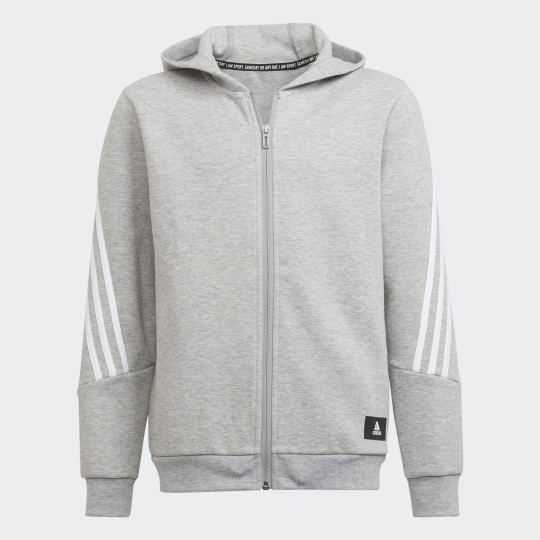 Толстовка adidas FUTURE ICONS 3-STRIPES (АРТИКУЛ:H44344)