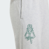 Детские брюки adidas MINECRAFT (АРТИКУЛ:KS9032)