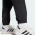 Спортивные брюки adidas FUTURE ICONS SMALL LOGO (АРТИКУЛ:JE3977)