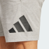Шорты adidas ESSENTIALS BIG LOGO SINGLE JERSEY (АРТИКУЛ:IS6908)