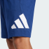 Шорты adidas ESSENTIALS BIG LOGO SINGLE JERSEY (АРТИКУЛ:IS6910)