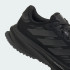 Кроссовки adidas SUPERNOVA RISE GTX RUNNING (АРТИКУЛ:JP7764)