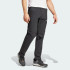 Спортивные штаны adidas TERREX MULTI ZIP-OFF  (АРТИКУЛ:IZ3320)