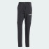 Спортивные штаны adidas TERREX MULTI ZIP-OFF  (АРТИКУЛ:IZ3320)