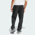Спортивные штаны adidas TERREX MULTI LITEFLEX  (АРТИКУЛ:JF3709)