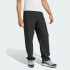Спортивные штаны adidas TERREX MULTI LITEFLEX  (АРТИКУЛ:JF3709)