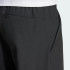 Спортивные штаны adidas TERREX MULTI LITEFLEX  (АРТИКУЛ:JF3709)