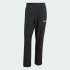 Спортивные штаны adidas TERREX MULTI LITEFLEX  (АРТИКУЛ:JF3709)