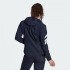 Женская лыжная куртка adidas TERREX SKYCLIMB GORE SOFT SHELL (АРТИКУЛ:GV4368)