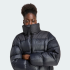 Жіночий пуховик adidas ESSENTIALS DOWN (АРТИКУЛ:KG6674) Жіночий пуховик adidas ESSENTIALS DOWN (АРТИКУЛ:KG6674)