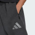 Мужские брюки adidas Z.N.E. PREMIUM  (АРТИКУЛ:JM6056)