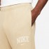 Мужские брюки NIKE M NSW ARCH FLC JOGGER FT  (АРТИКУЛ:DC0723-297)