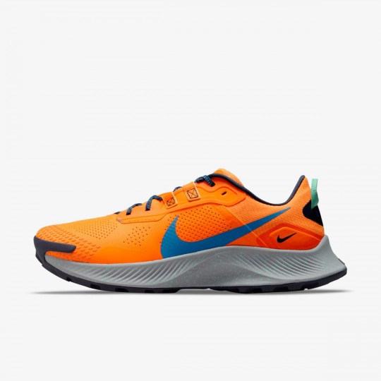 Чоловічі кросівки NIKE PEGASUS TRAIL 3 (АРТИКУЛ: DA8697-800)